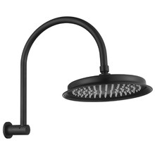 Constance 220mm Gooseneck Shower Arm & Head
